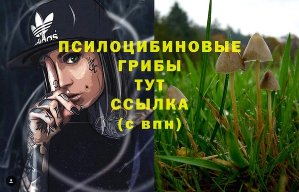 первитин Козельск